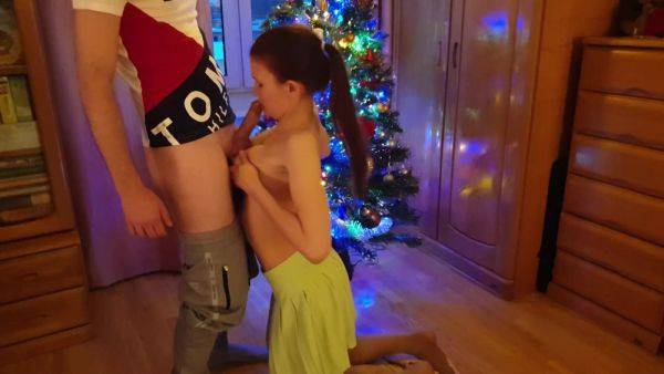 Holiday Blowjob Under The Christmas Tree - hclips.com on gratiscinema.com