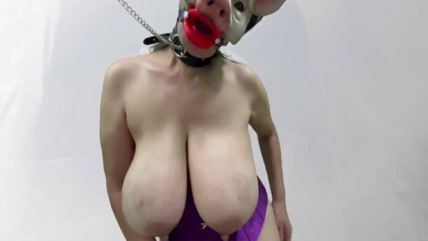 Masked Pig Slut Sucks Dildos And Boob Bouncing - hotmovs.com on gratiscinema.com