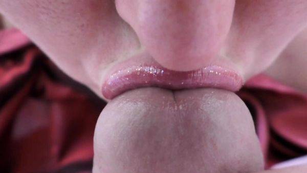 My wife gives a great closeup blowjob - drtuber.com on gratiscinema.com