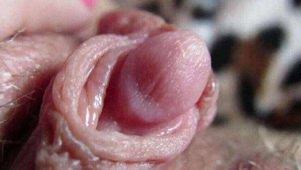 Extreme Close-up of My Gigantic Throbbing Clit - veryfreeporn.com on gratiscinema.com